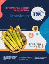 Newsletter Issue 28
